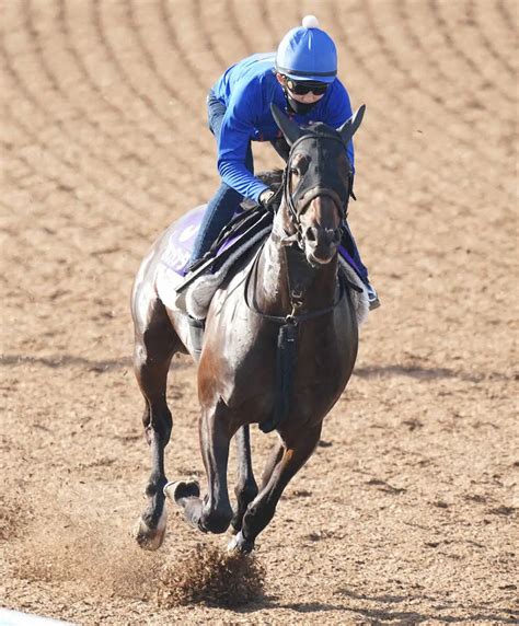 【日本ダービー1週前追い】コスモキュランダ 豪快に伸び併入、加藤士師「見た目以上に時計が速い」 スポニチ競馬web