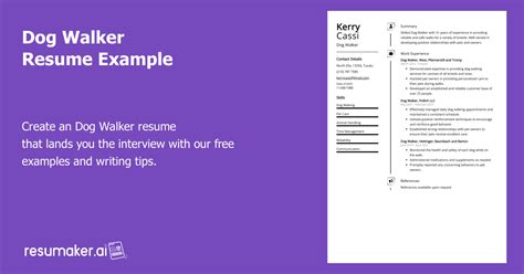 Dog Walker Resume Example Free Guide