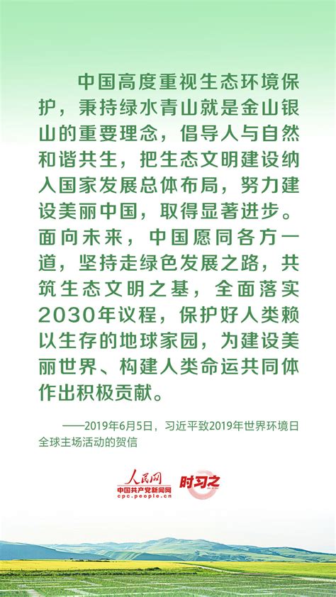 共谋绿色发展之路 习近平倡导人与自然和谐共生央广网