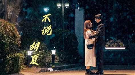 胡夏 不说 电视剧以爱为营插曲 Only For Love OST 高音质动态歌词 Pinyin Lyrics YouTube