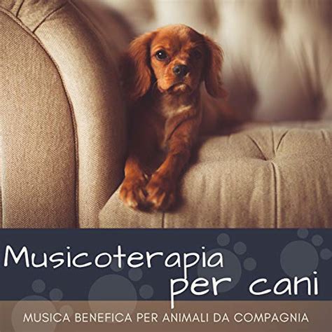 Amazon MusicでArmonia MontenegroのMusicoterapia per cani Musica