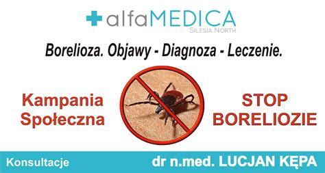 Borelioza Objawy Diagnoza Leczenie Alfamedica