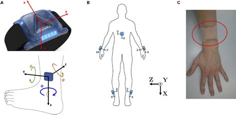 Frontiers Wearable Inertial Measurement Units For Assessing Gait In