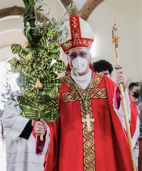 Bispo Preside Missa De Domingo De Ramos Na Catedral D A Online