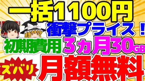 一括1100円衝撃プライス一括キャンペーン初期費用と3ヶ月無料メンバーシップ募集中格安SIMチャンネル YouTube