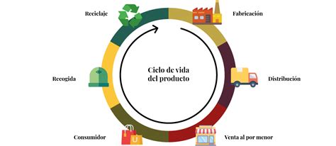 Qu Cursos Lleva Log Stica Escuela Experta