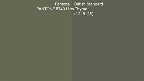 Pantone 5743 U Vs British Standard Thyme 12 B 25 Side By Side Comparison