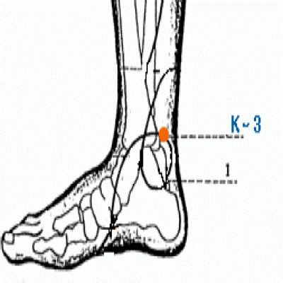 Acupressure Points for Weight Loss - Works in 1-2 Weeks - Acupressure ...