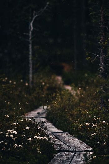 Moody And Melancholic Of Deserted Places Pierre Putman Is A Belgian