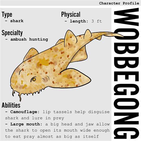 wobbegong-profile – Go Forth and Science