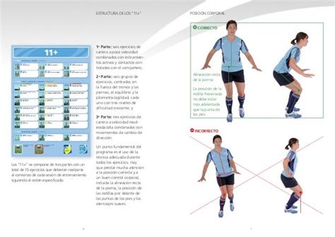 Manual 11 Fifa F Marc Programa Completo Para Reducir Las Lesiones