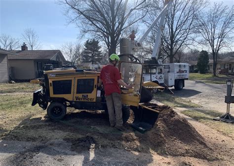 Tree Stump Grinding And Removal Jims Tree Service Levittown Pa