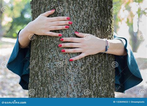 Tree Hugging Woman Young Female Hands Embracing A Huge Tree In Stock