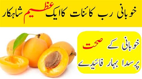 Khubani Ke Fayde Health Benefits Of Apricots Khubani Ke Fayde In