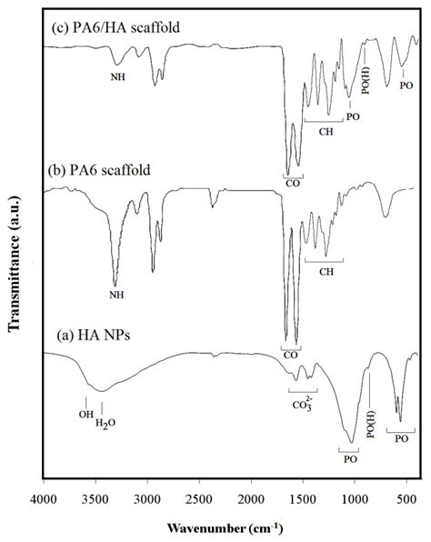 Ftir Spectrum Of A Ha Nps B Pa6 And C Pa6ha Scaffold