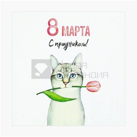 Открытка маленькая 8 марта (кот с тюльпаном) с бесплатной доставкой ...