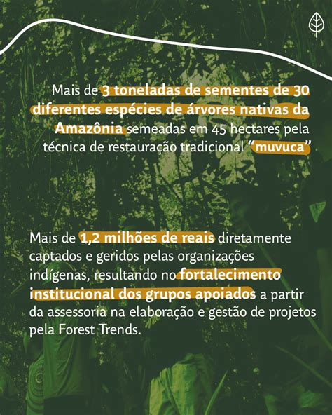 Forest Trends On Twitter O Projeto Nossa Floresta Nossa Casa