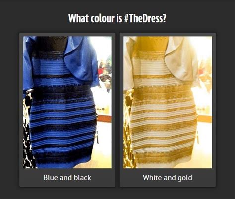 Thedress What Colour Do You See