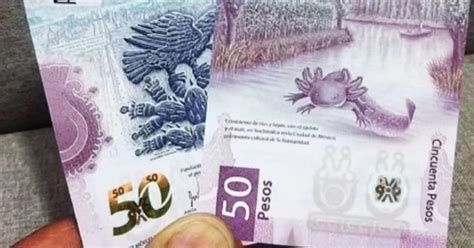 Revisa en tu cartera Billete con el ajolotito rompe récord lo