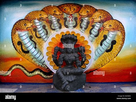 Hindu Snake Goddess