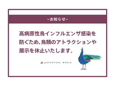 アドベンチャーワールド 高病原性鳥インフルエンザ対策について｜トピックス｜アドベンチャーワールド