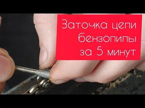 Заточка цепи бензопилы за 5 минут - YouTube