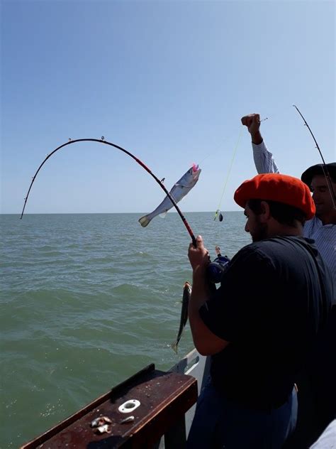 Pin De Guuspesca En Pesca Embarcado Bahia San Blas Pesca