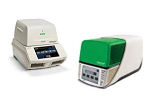 BioRad CFX96 Real Time PCR Thermal Cycler 54 OFF