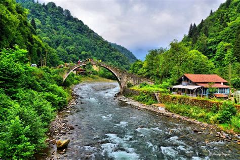 Karadeniz Turu DYG Tur