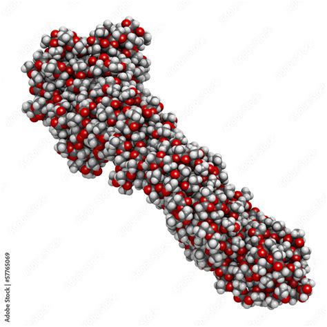 Polylactic acid (PLA, polylactide) bioplastic Stock Illustration ...