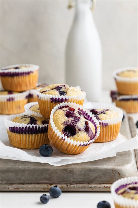 Gluten Free Blueberry Muffin Recipe Dairy Free Grain Free