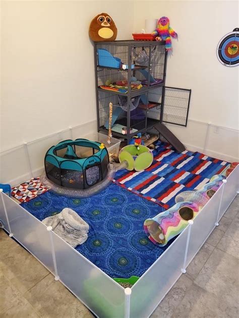 Ferret Cage Diy Ideas