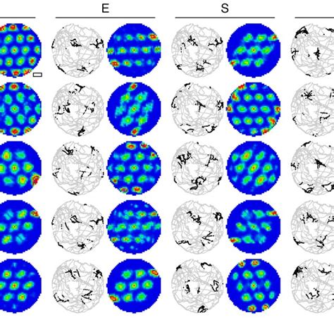 Figure Supplement 1 Spatial Maps For A 2d Open Trajectory Twenty Grid Download Scientific