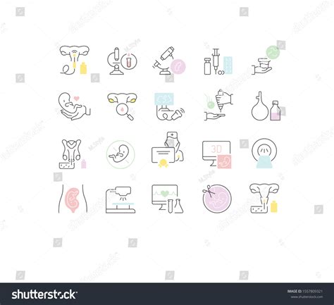 Set Vector Line Icons Gynecology Modern Stock Vector Royalty Free