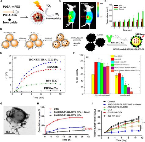 Frontiers Plga Based Drug Delivery Systems For Remotely Triggered