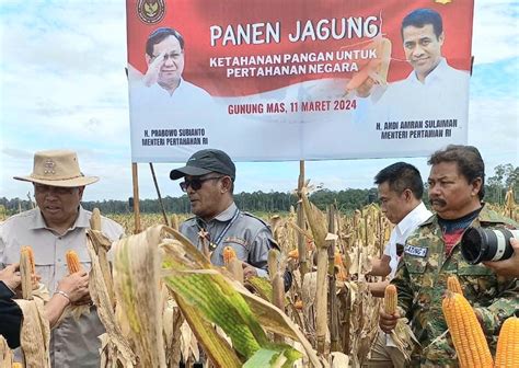 Kementan Kemenhan Panen Raya Jagung Di Kawasan Food Estate Gunung Mas