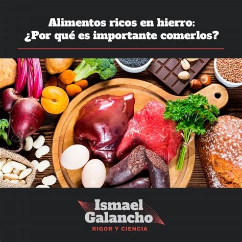 Alimentos Ricos En Hierro ¿por Qué Es Importante Comerlos