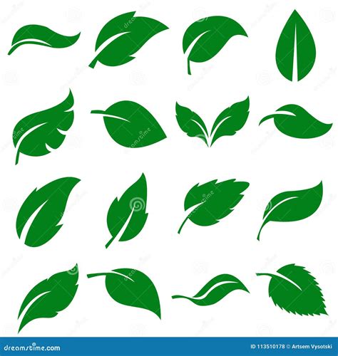 Groene Bladereninzameling Reeks Van Blad Vector Illustratie Vector