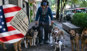 Descubre cuánto cobran por cuidar un perro y cómo elegir el mejor servicio