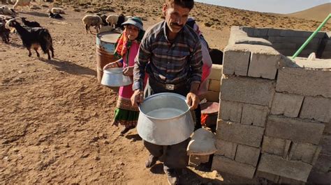 Milking Goat And Sheep By Nomads Nomadic And Village Lifestyle In Iran