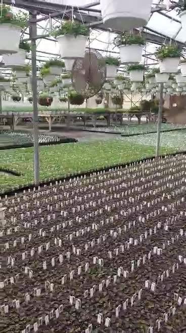 Rocky Ridge Greenhouse Home Facebook