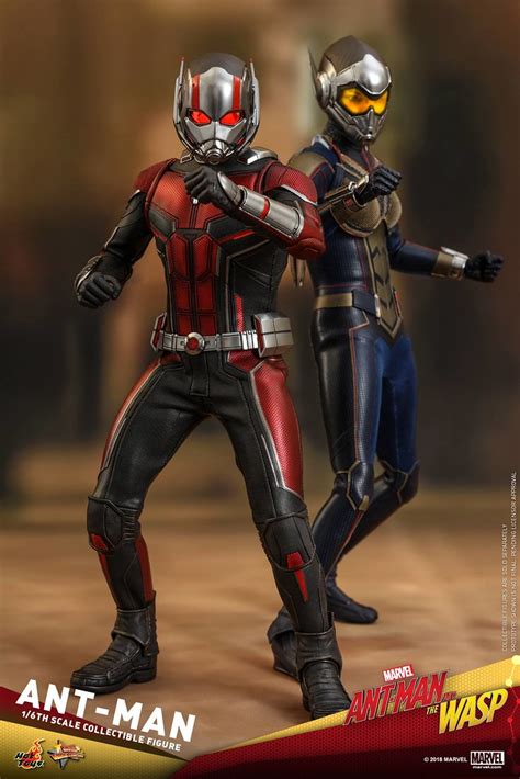 Hot Toys MMS 蟻人與黃蜂女蟻人 Ant Man 比例人偶作品