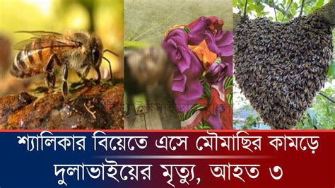 শ্যালিকার বিয়েতে মৌমাছির কামড়ে প্রাণ গেল দুলাভাইয়ের ফরিদপুর