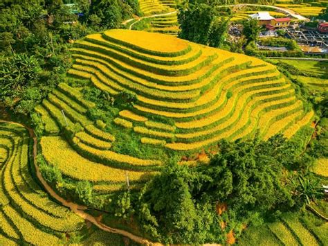 Premium Photo Aerial Image Of Rice Terraces In Muong Hoa Valley Lao