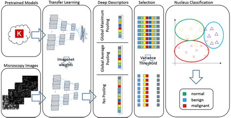 Pretrained Models From The Keras Repository Were Leveraged For The Download Scientific Diagram