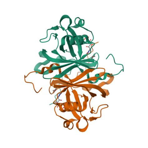 Rcsb Pdb Zog Crystal Structure Of Fmn Binding Protein Np