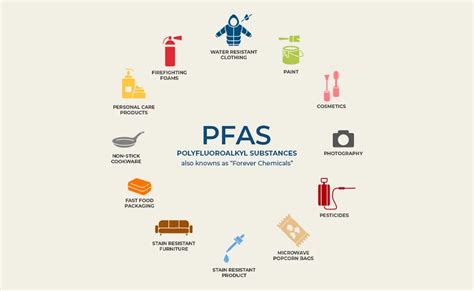 The ‘Forever Chemicals’ - PFAS - Elena Klimenko, MD - Functional ...