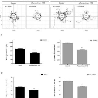 Effect Of Phenacetinum 4CH On Dispersed B16 Cells 3D Migration For 3D