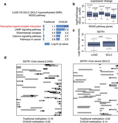 Chalm Provides Better Identification Of Functionally Related Dmrs A Download Scientific Diagram