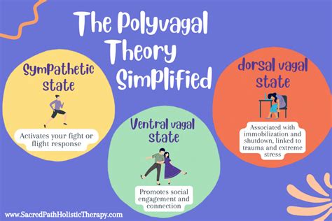 What The Polyvagal Theory Is And How It Works Sacred Path Holistic